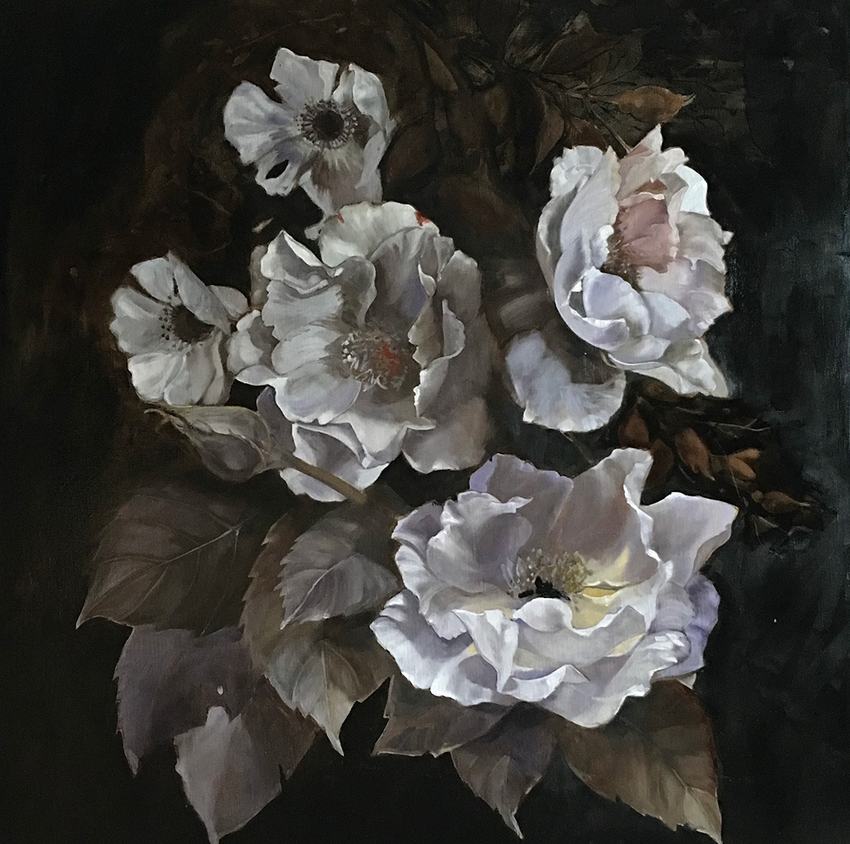 Diana Watson. flower paintings. D'Argento