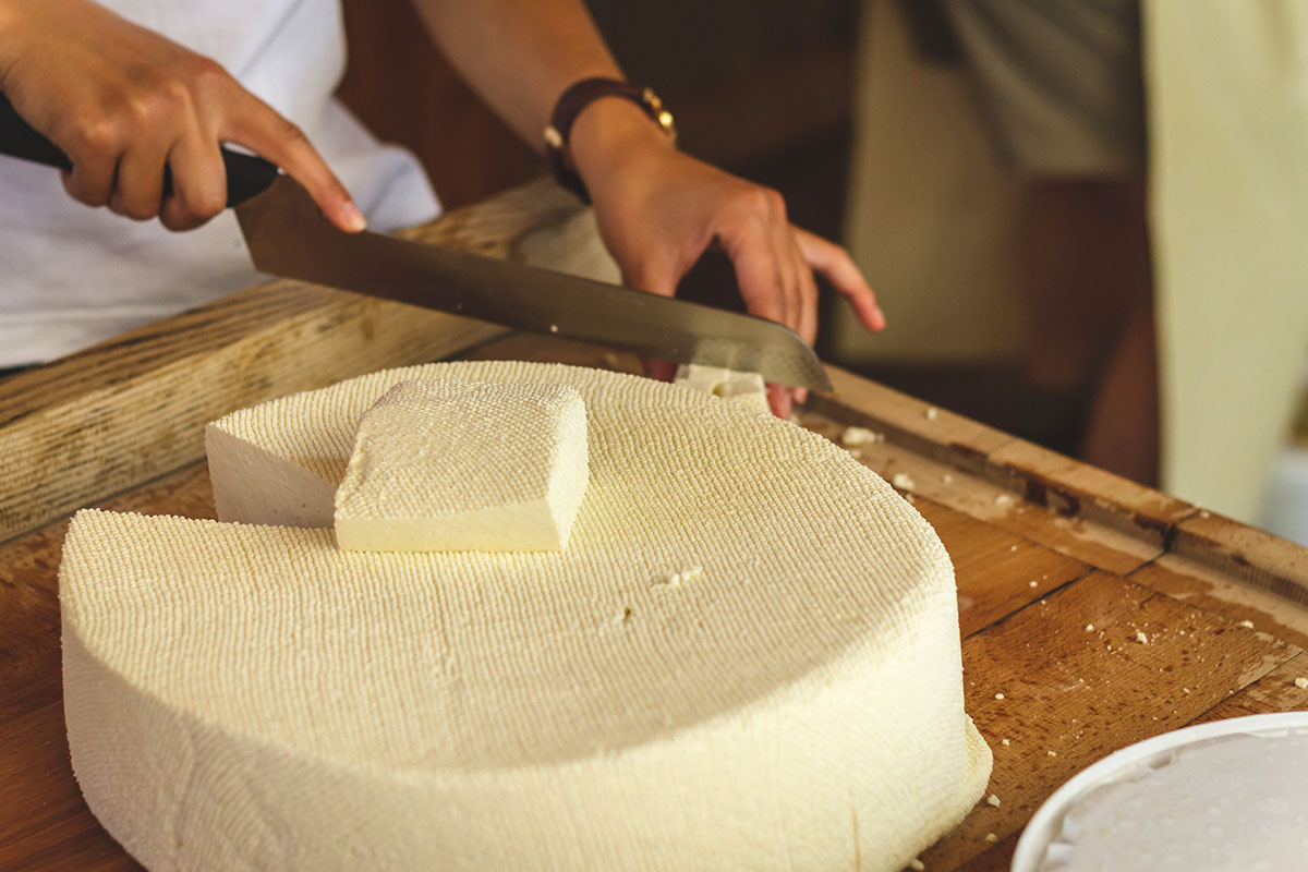 Burgos cheese being cut