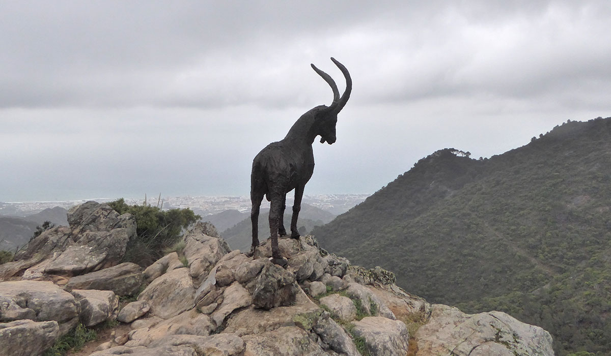 Statue of male ibex at the Mirador del Macho Montés