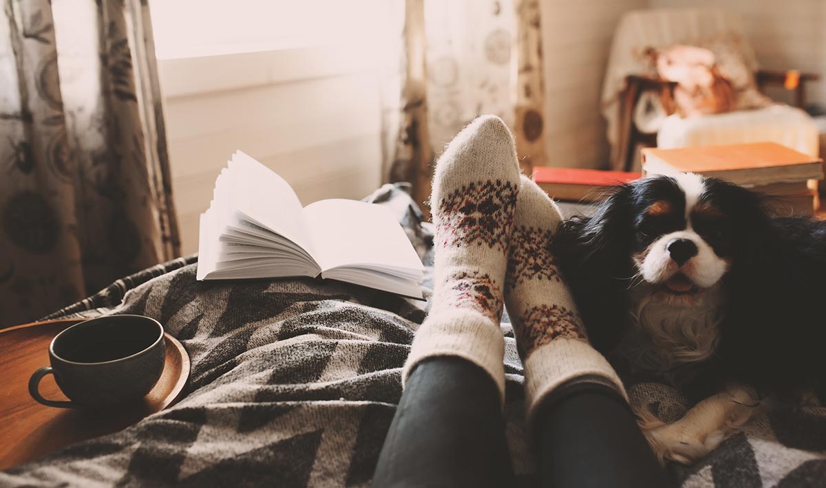 Cup, book, feet, dog all on the bed