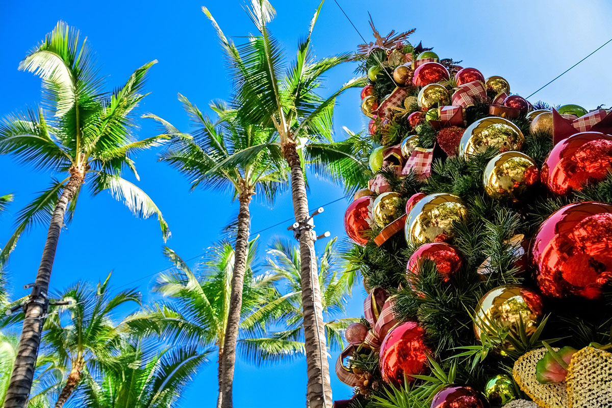 Christmas tree and palm trees