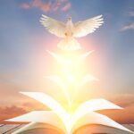 Dove flying out of book