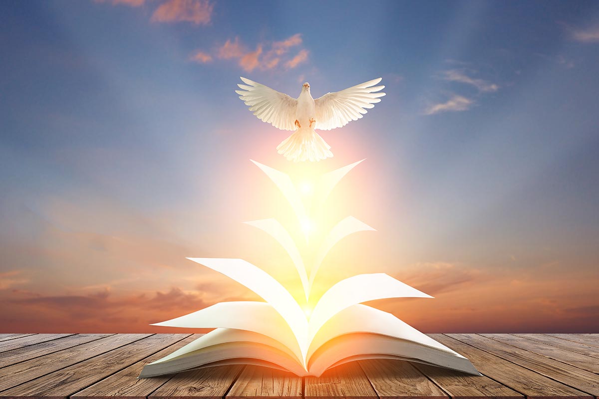 the top 5 books that teach us about peace 1