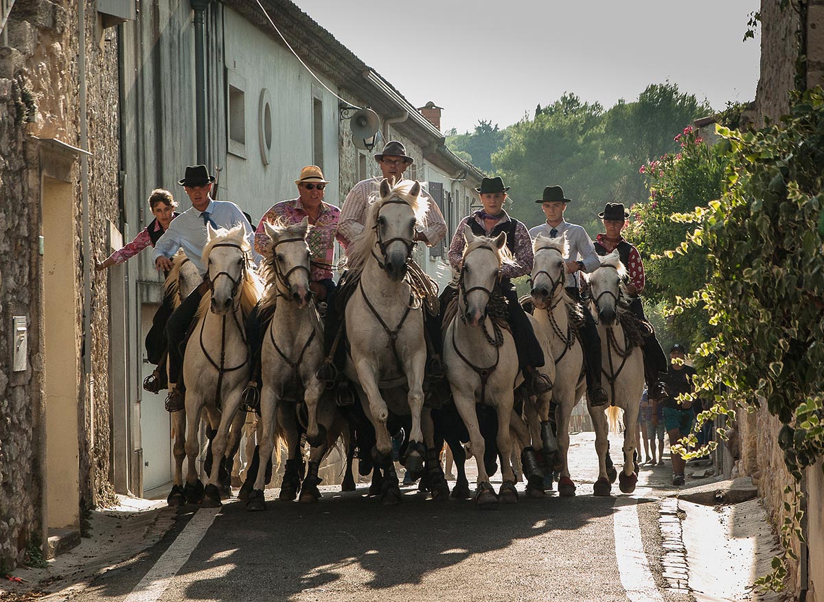 White horses riding down a village street