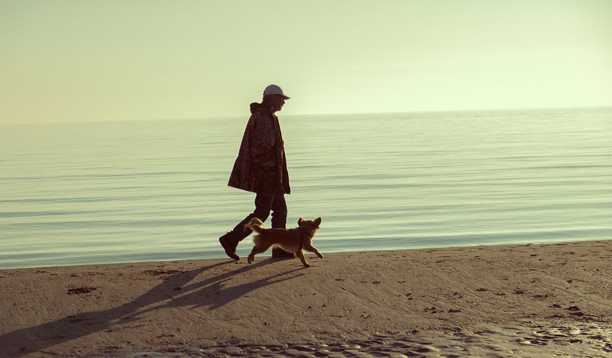 Man and dog walking along the beach