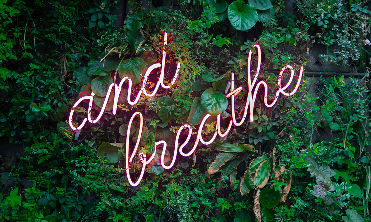 and breathe in neon against greenery.