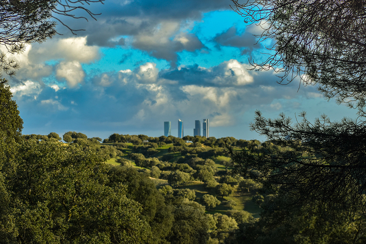 A view of Madrid taken from the forest