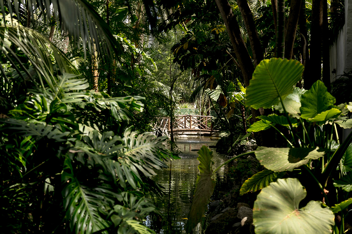 Botanical gardens at Puente Romano Beach Resort