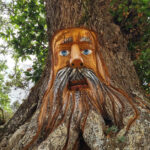 Carved tree scultures