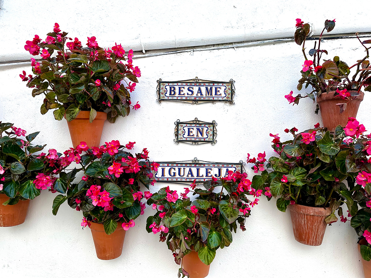 Kiss me in Igualeja! - a ceramic sine and plant pots on wall