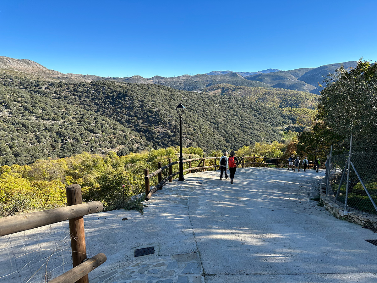 Hiking near Marbella enchanted chestnut route